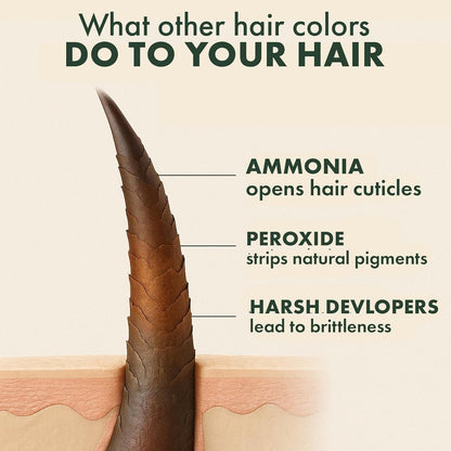 Single Agent Herbal Hair Colorant 100 ml (Pack of 1)