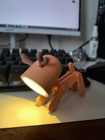 Mini LED Desk Lamp
